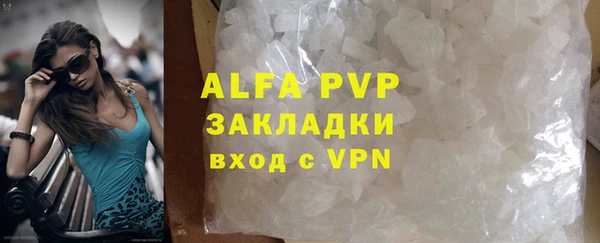 стафф Алзамай