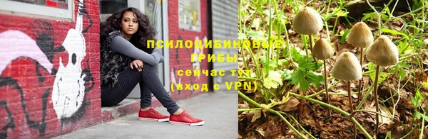 СК Осинники