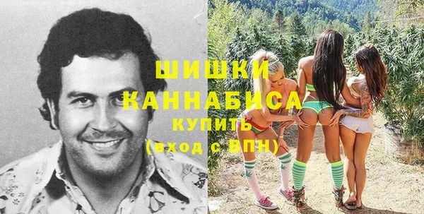 СК Осинники